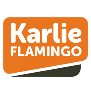 Logo Flamingo