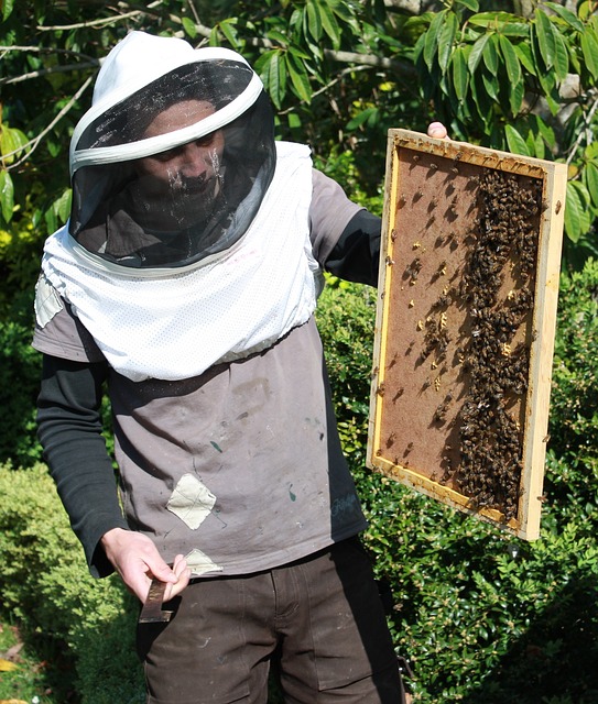 Apiculture 02